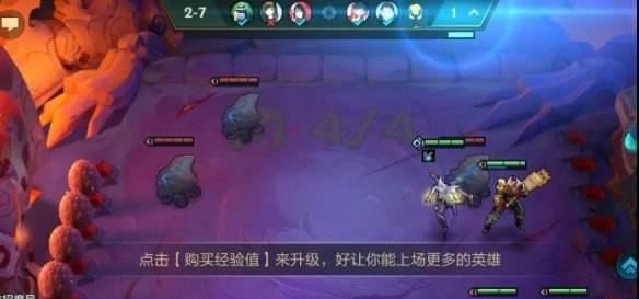《以金铲铲动物园阵容怎么玩》（打造属于你的完美园区）