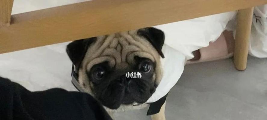 如何更好的利用空间打包以巴哥（游戏化的方法教你轻松打包）