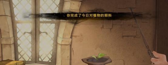 RWBY（打造你的超凡狂战士之路）