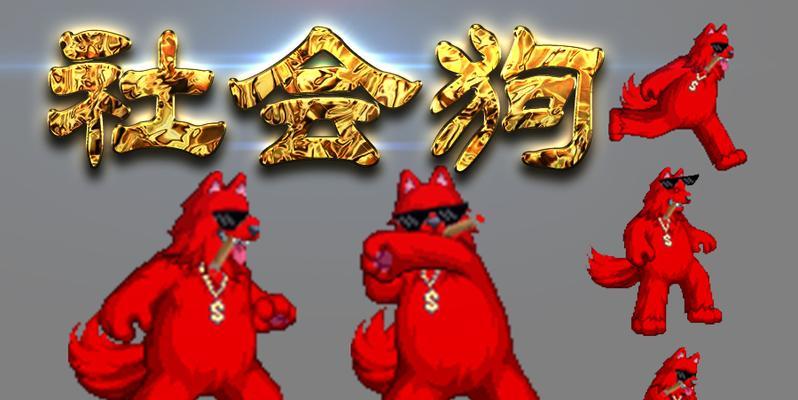 DNF中的狗狗是什么品种？