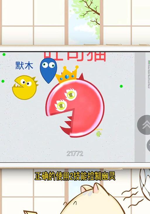 魔域猫新手入门的正确饲养方法是什么？