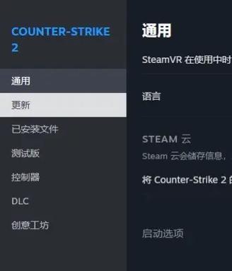 反恐精英2开麦卡顿问题如何解决？有哪些方法？