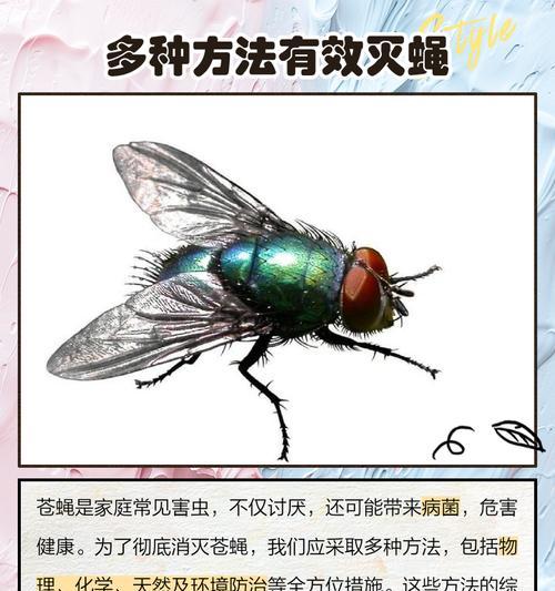 我的世界中苍蝇如何养殖？苍蝇养殖的正确方法和技巧是什么？