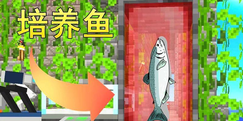 我的世界鱼繁殖方法有哪些？