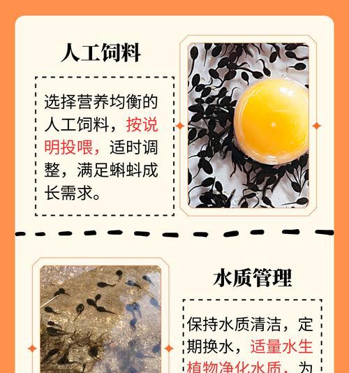 蝌蚪成长的条件是什么？