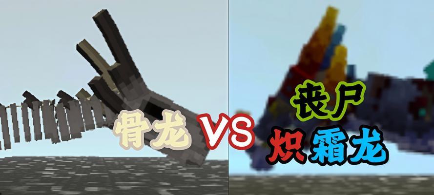 我的世界中不同龙的区分方法是什么？
