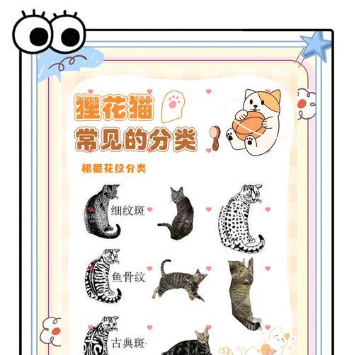 阴阳师中狸猫的养成方法是什么？