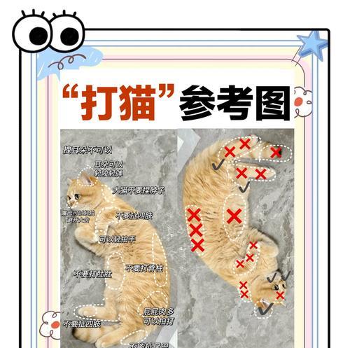 打猫狐妖的策略有哪些？
