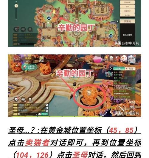 探寻新大陆，莉莉的助战伙伴之路（以梦想为引路）